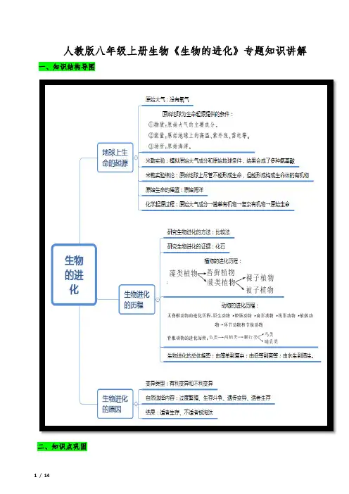人教版八年级上册生物《生物的进化》专题知识讲解
