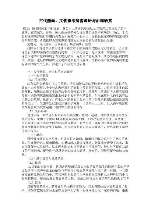 古代壁画、文物彩绘病害调研与治理研究