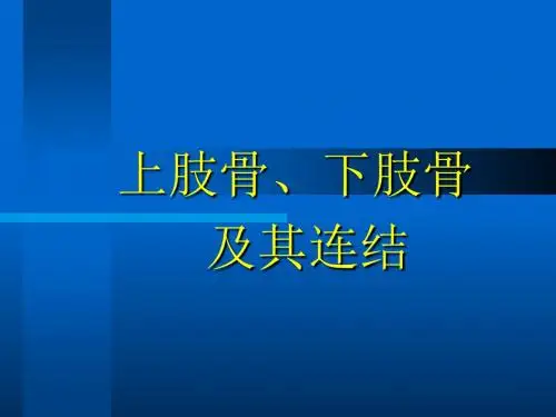 4上肢骨、下肢骨