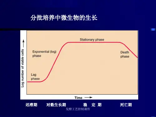 发酵工艺控制课件