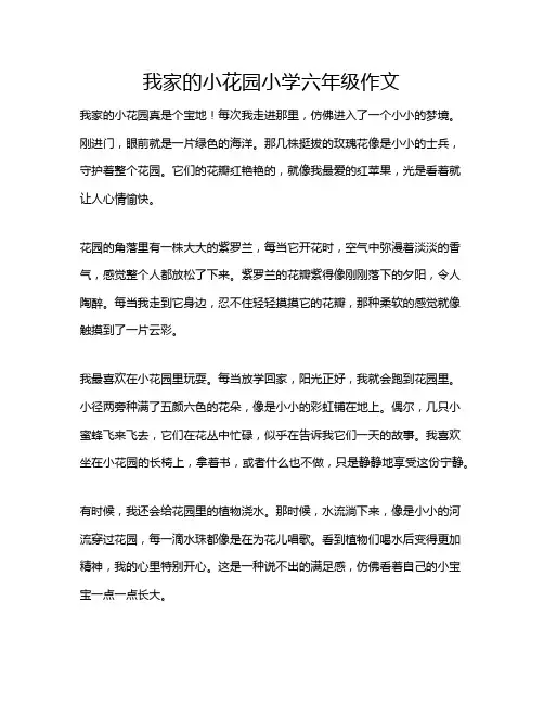 我家的小花园小学六年级作文
