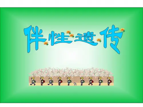 高一生物伴性遗传