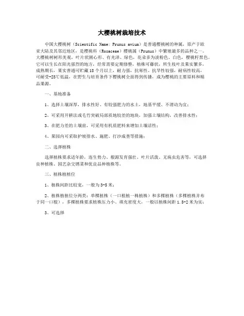 大樱桃树栽培技术