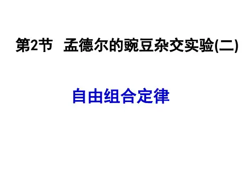 孟德尔的豌豆杂交实验
