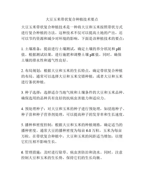 大豆玉米带状复合种植技术要点