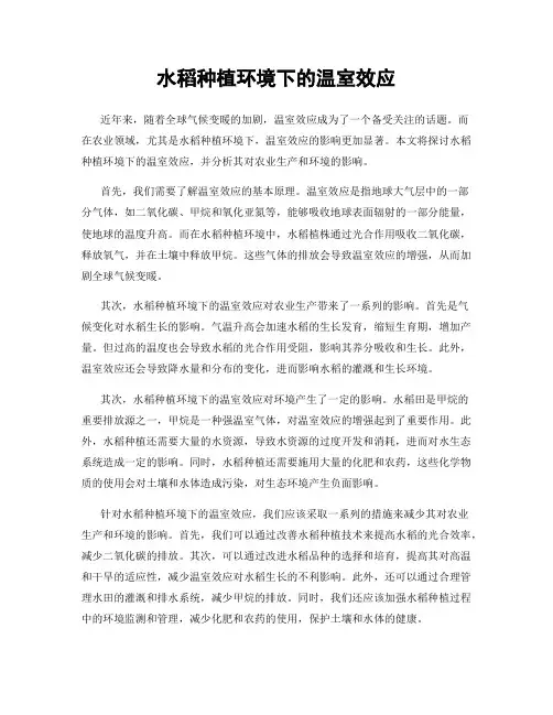 水稻种植环境下的温室效应