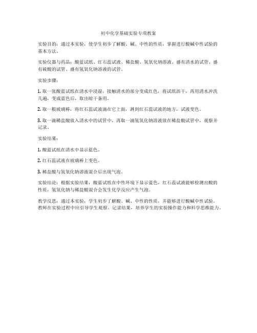 初中化学基础实验专项教案
