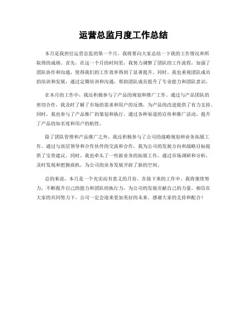 运营总监月度工作总结