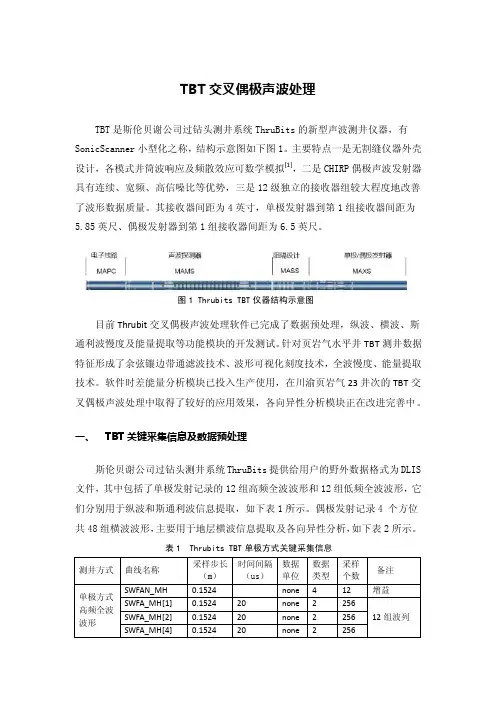 ThrubitsTBT资料处理技术