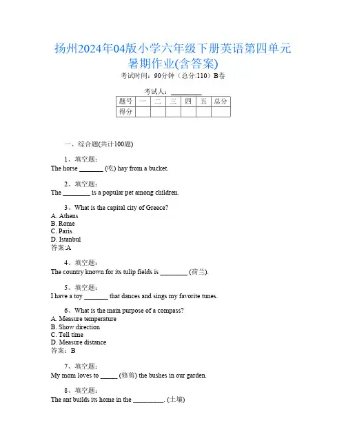 扬州2024年04版小学六年级下册第9次英语第四单元暑期作业(含答案)