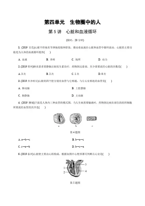 中考生物培优复习真题 第四单元 生物圈中的人 第5讲 心脏和血液循环(人教通用版)