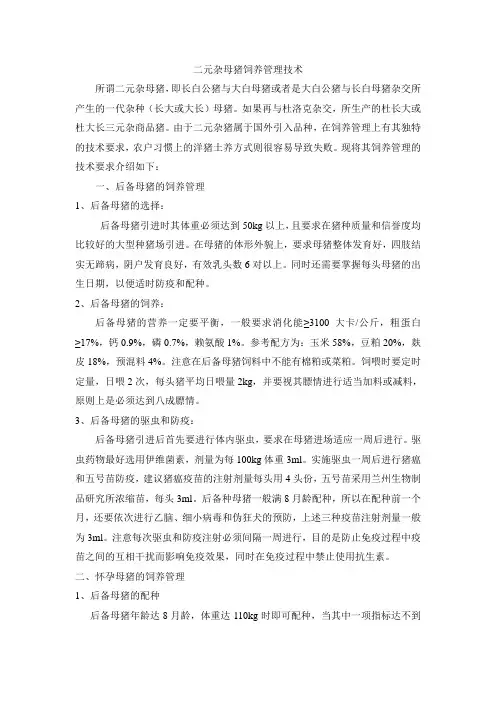 二元杂母猪饲养管理技术
