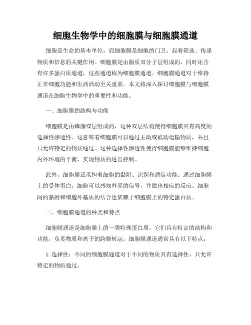 细胞生物学中的细胞膜与细胞膜通道