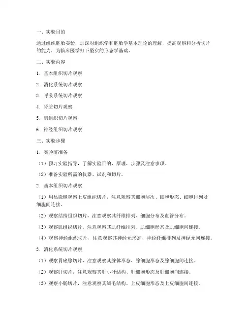组织胚胎实验报告步骤