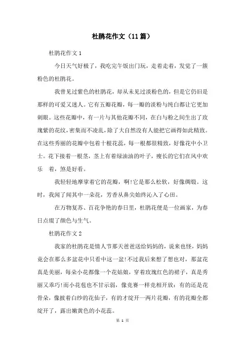 杜鹃花作文(11篇)