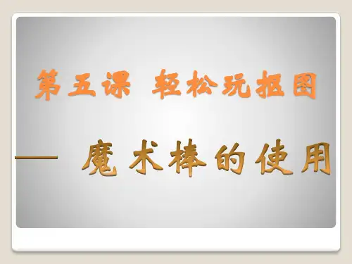 浙教版(广西)八年级上册信息技术5.轻松玩抠图--魔术棒的使用课件(10)