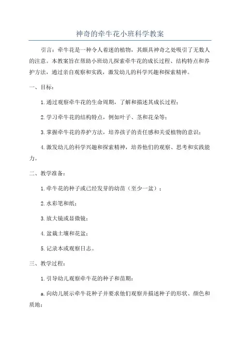 神奇的牵牛花小班科学教案