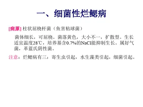 水产细菌性疾病-徐大勇