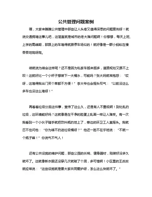 公共管理问题案例