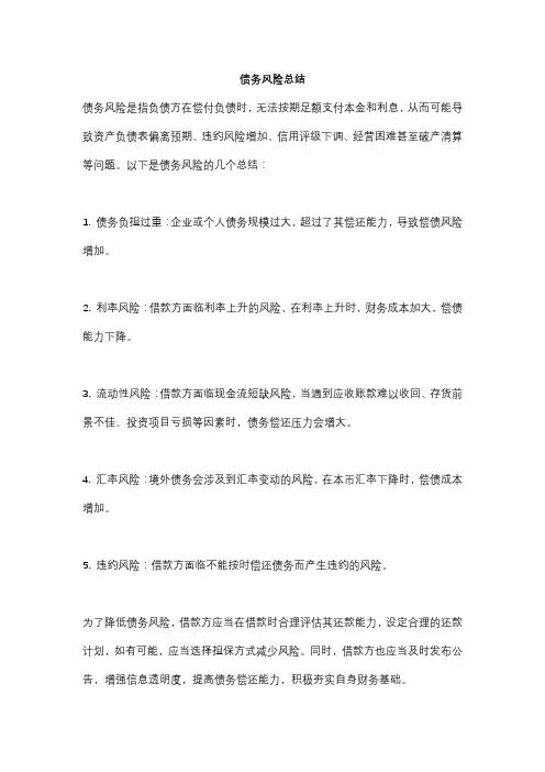 债务风险总结