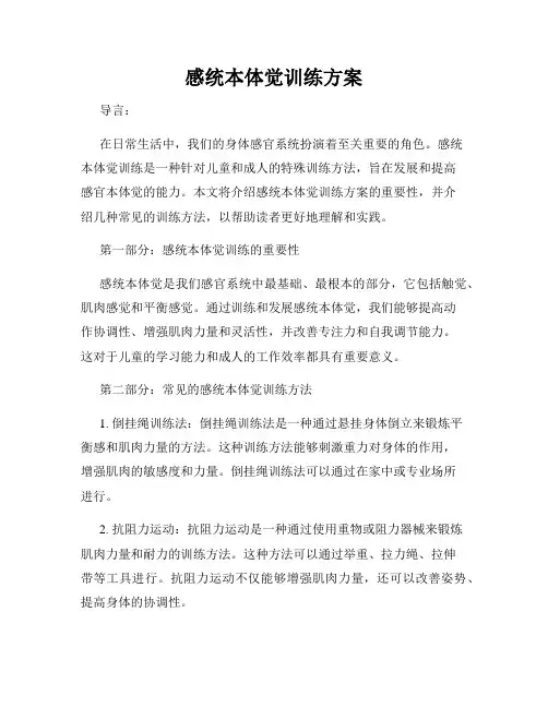 感统本体觉训练方案