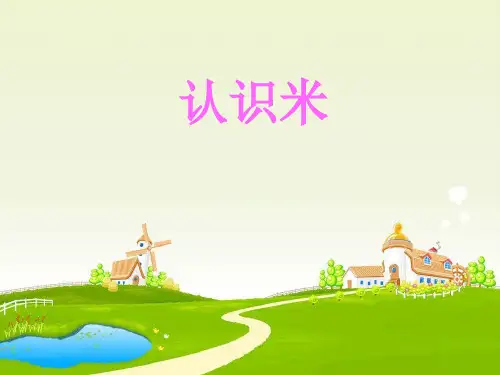 苏教版数学二年级上册《认识米》