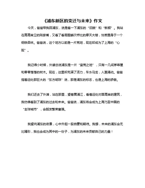 《浦东新区的变迁与未来》作文