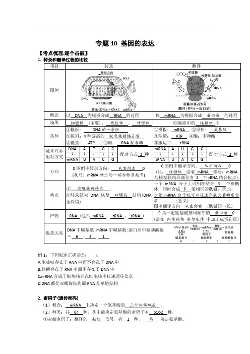 专题10 基因的表达：备战2023年高考生物必备知识大串讲