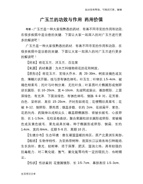 广玉兰的功效与作用 药用价值