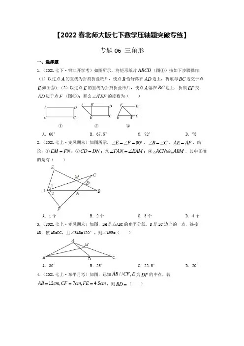 专题06 三角形(原卷版)【2022春北师大版七下数学压轴题突破专练】