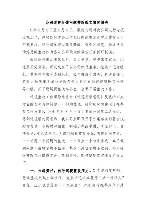 公司巡视反馈问题整改落实情况报告