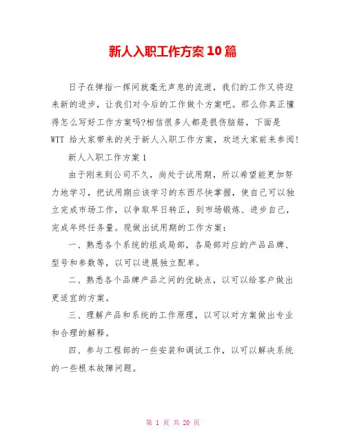 新人入职工作计划10篇