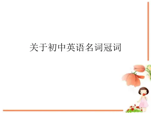 关于初中英语名词冠词课件