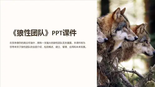 《狼性团队》课件