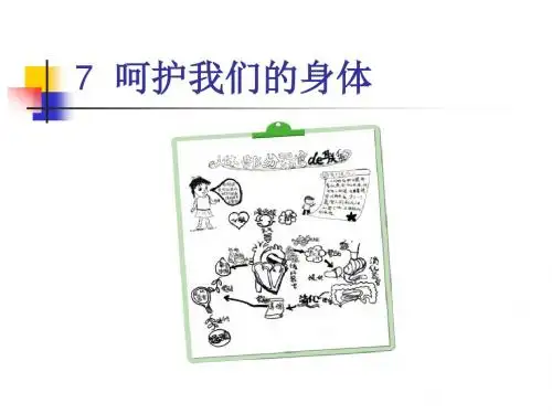 秋教科版科学四上4.7《呵护我们的身体》ppt课件3