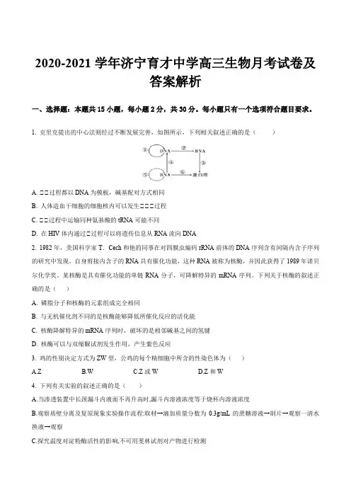 2020-2021学年济宁育才中学高三生物月考试卷及答案解析