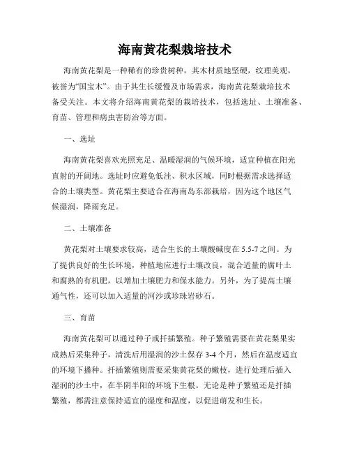 海南黄花梨栽培技术