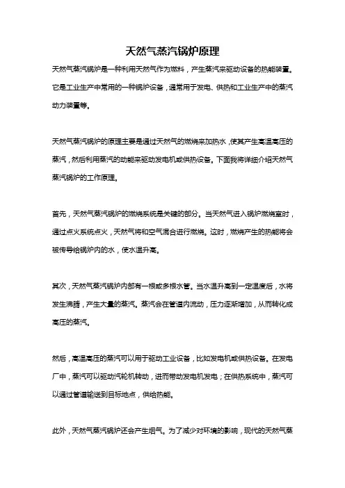天然气蒸汽锅炉原理