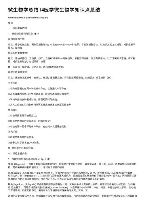 微生物学总结14医学微生物学知识点总结