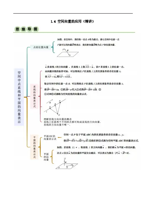1.4 空间向量应用(精讲)(解析版)人教版高中数学精讲精练选择性必修一