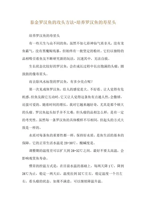 泰金罗汉鱼的攻头方法-培养罗汉鱼的寿星头