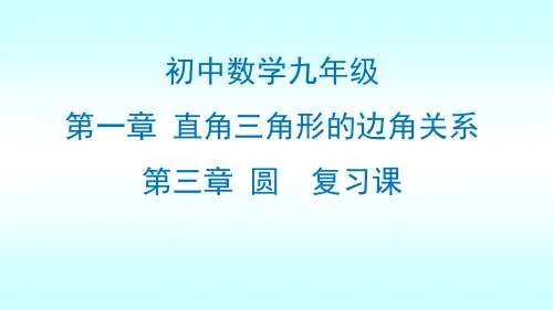 第一章 直角三角形的边角关系 第三章 圆 单元整体复习课 课件-北师大版九年级数学下册