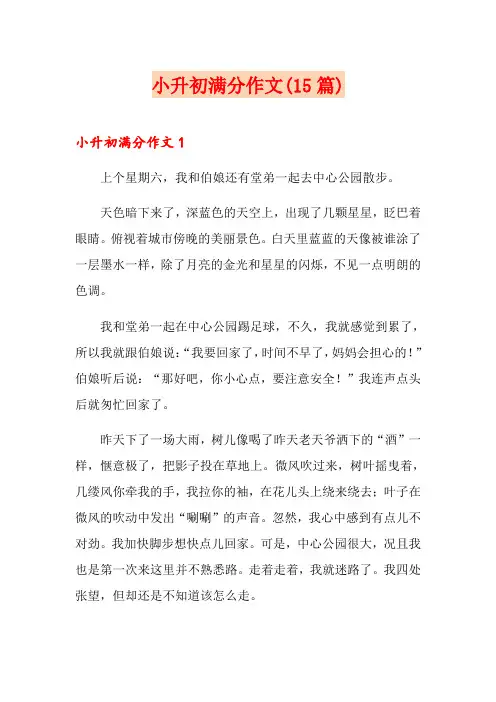 小升初满分作文(15篇)