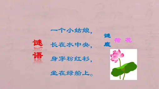 江西版美术三年级下册《荷花美》完整版通用课件(1)