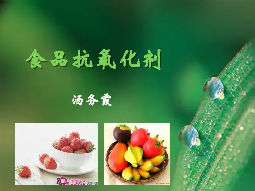 食品抗氧化剂