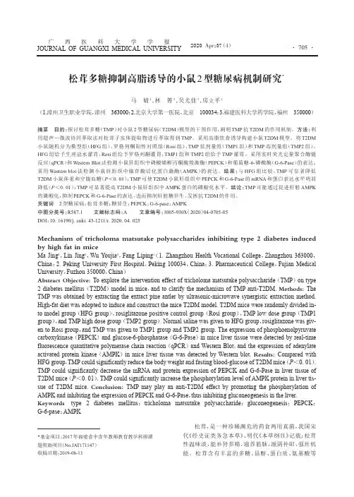 松茸多糖抑制高脂诱导的小鼠2型糖尿病机制研究