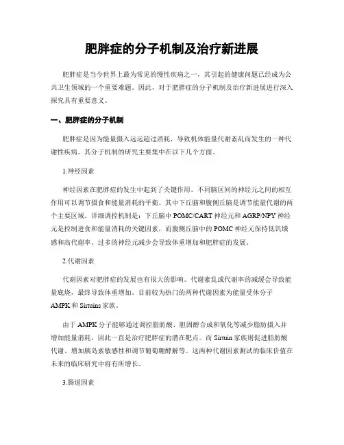 肥胖症的分子机制及治疗新进展