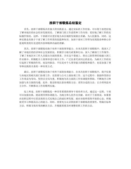 挂职干部锻炼总结鉴定
