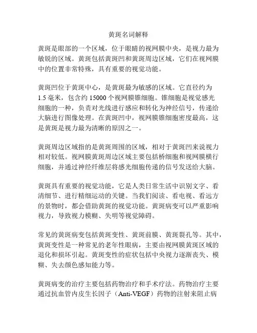 黄斑名词解释