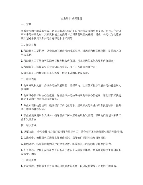 企业培训 雏鹰计划
